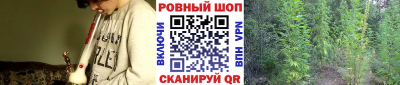 Как найти наркотики Мензелинск Alpha PVP  Мефедрон  Гашиш  АМФЕТАМИН  Канабис 