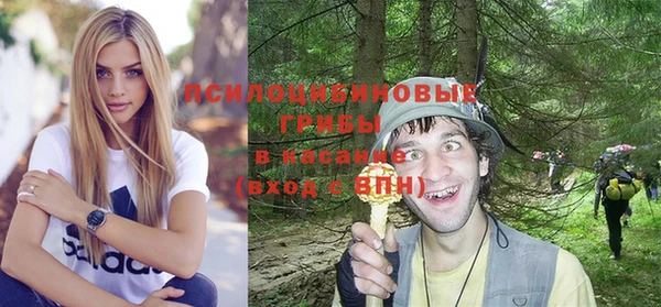 молекула духа Алзамай