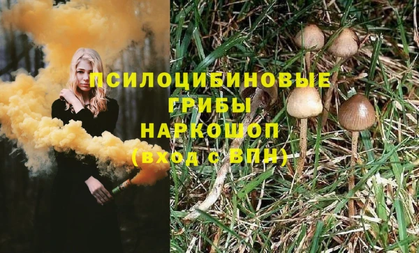 молекула духа Алзамай