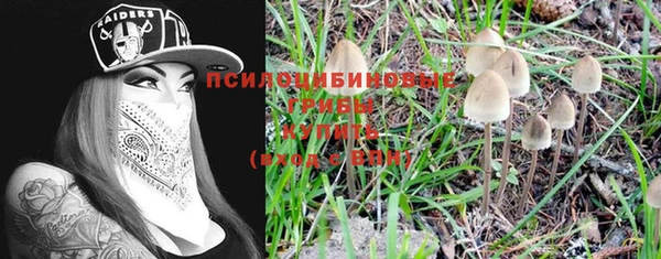 молекула духа Алзамай