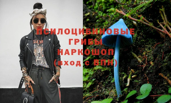 молекула духа Алзамай